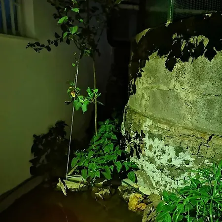 Prázdninový dům La Casa Di Nina *